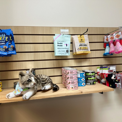 Cat supplies inside of Rockstar Dog Bakery